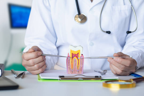 Best Broken Tooth Emergency  in Laurel Hill, VA